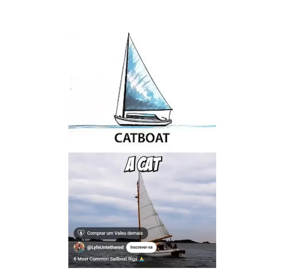 catboat